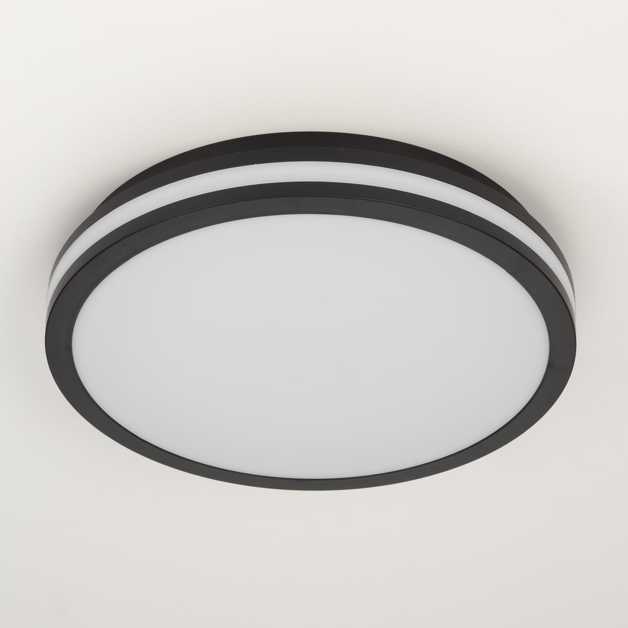 Потолочный светильник Citilux LUNS CL711021V, цвет черный