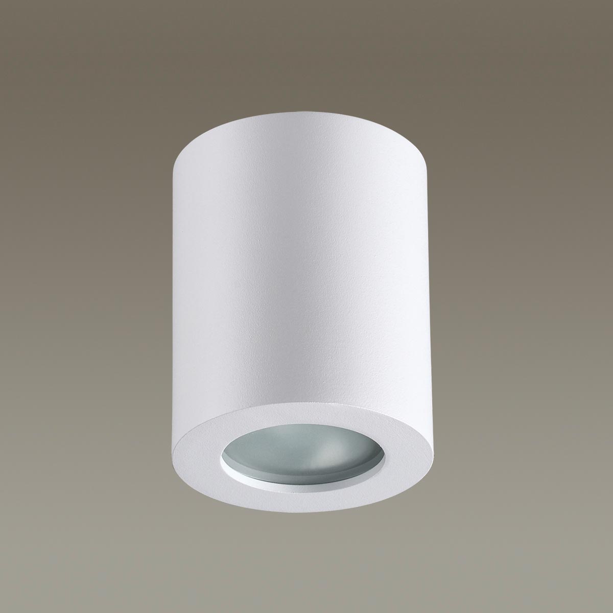 Накладной светильник Odeon Light Aquana 3571/1c